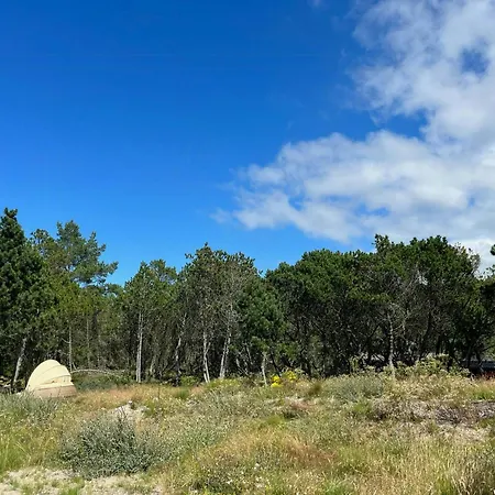 Nordic Summer House In With And Sauna