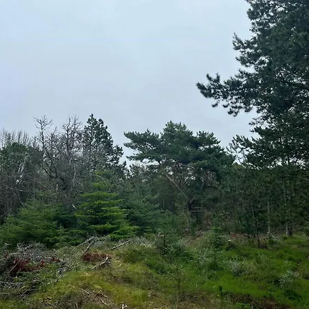 Feriehus Nordic Summer House In With And Sauna *